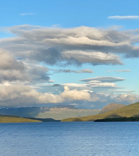 Miljörätt